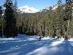 Slope offering Sierra Nevada (US) – Slope offering Sierra at Tahoe