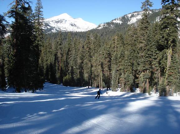 Gladed runs in the ski resort of Sierra at Tahoe