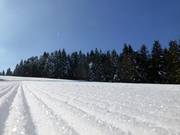 Optimally groomed slopes in the Notschrei ski resort