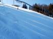 Ski resorts for advanced skiers and freeriding Sauerland – Advanced skiers, freeriders Winterberg (Skiliftkarussell)
