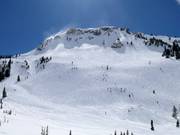 Endless powder slopes in Alta