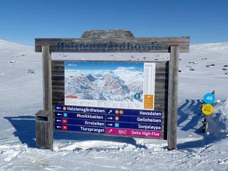 Østlandet: orientation within ski resorts – Orientation Geilo