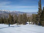 Easy slope in the ski resort of June Mountain