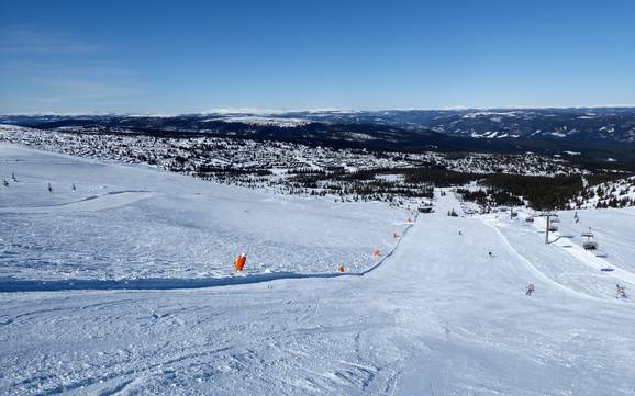 Skiing in Østlandet