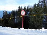 No skiing is permitted in forest areas