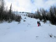 Difficult slopes in the Monster Glades