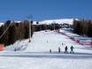Ski resorts for beginners in the Val di Fiemme – Beginners Alpe Lusia – Moena/Bellamonte