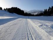 Cross-country trail in Obersaxen