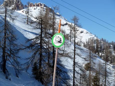 Carnic Main Crest: environmental friendliness of the ski resorts – Environmental friendliness Nassfeld – Hermagor