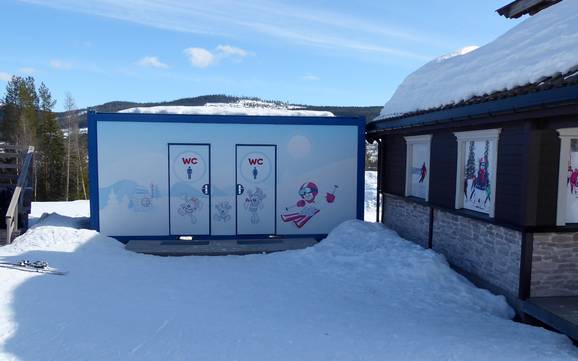 Hedmark: cleanliness of the ski resorts – Cleanliness Trysil
