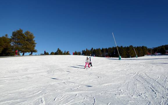 Ski resorts for beginners in the Province of Girona – Beginners La Molina/Masella – Alp2500