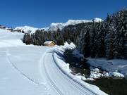 High elevation trail Lech-Zug