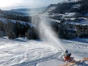 Snow cannon in the Oberjoch ski resort