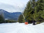 Snow production with snow guns on the valley runs