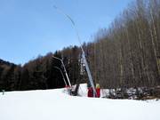 Snow production with snow guns on the valley run