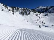 Very good slope preparation in Snowbird