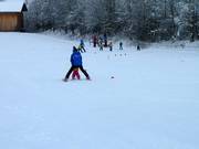 The ski instructors work enthusiastically with the little ones