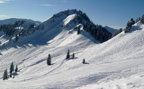 Ski resorts for advanced skiers and freeriding Bodensee-Vorarlberg – Advanced skiers, freeriders Laterns – Gapfohl
