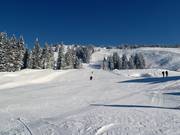 View of the ski resort beneath the Nob