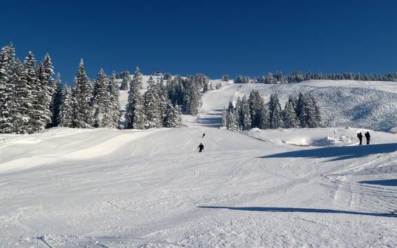 Bodensee-Vorarlberg: size of the ski resorts – Size Laterns – Gapfohl
