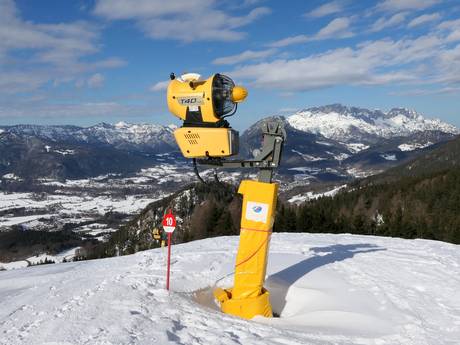 Snow reliability Berchtesgadener Land – Snow reliability Jenner – Schönau am Königssee