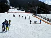 Beginner slope with people mover at the Blackcomb Day Lodge