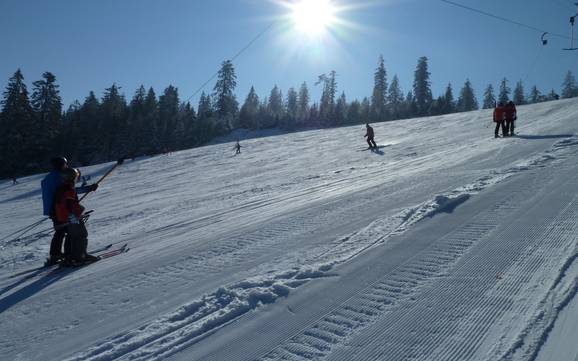 Murgtal: Test reports from ski resorts – Test report Kaltenbronn