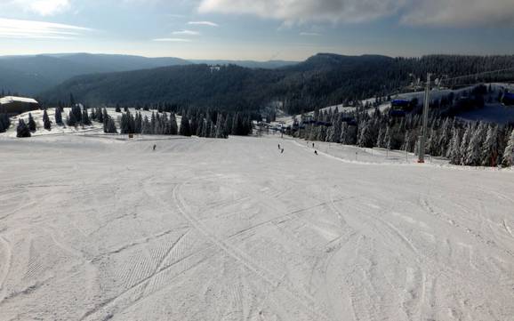 Ski resorts for beginners in the County of Breisgau-Hochschwarzwald – Beginners Feldberg – Seebuck/Grafenmatt/Fahl