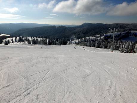 Ski resorts for beginners in the Administrative Region of Freiburg – Beginners Feldberg – Seebuck/Grafenmatt/Fahl