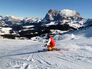 Beautiful panoramic view of the Alpe di Siusi (Seiser Alm)