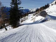 Start of the FIS slope at the Loserhütte