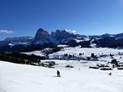 Beautiful panoramic view of the Alpe di Siusi (Seiser Alm) at the Mezdi chairlift