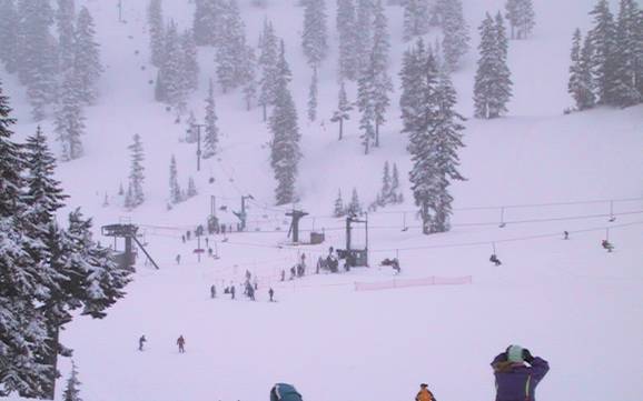 Best ski resort in Washington State – Test report Mt. Baker