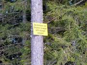 Skiing through forest areas is prohibited