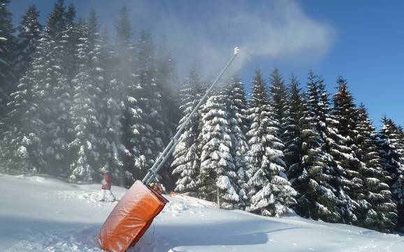Snow reliability Ore Mountains (Krušné hory) – Snow reliability Keilberg (Klínovec)