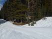 Cross-country skiing Alberta's Rockies – Cross-country skiing Mt. Norquay – Banff