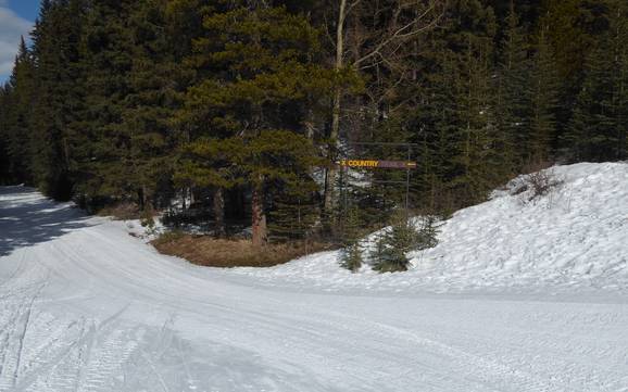 Cross-country skiing Canadian Prairies – Cross-country skiing Mt. Norquay – Banff