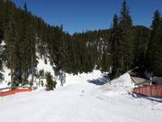 Ski road №2 very easy slope