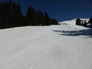 Easy slope at the Spycher tow lift