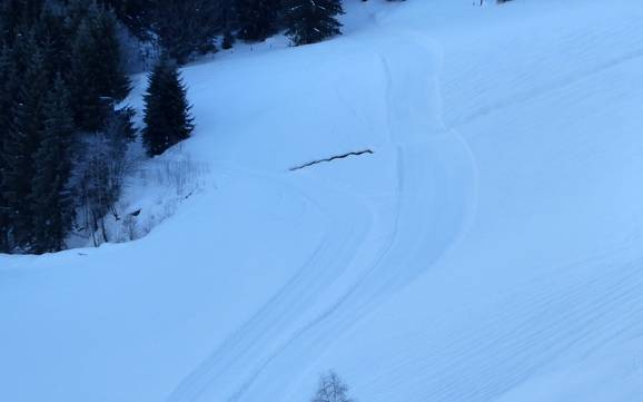 Cross-country skiing Leoganger Tal – Cross-country skiing Saalbach Hinterglemm Leogang Fieberbrunn (Skicircus)