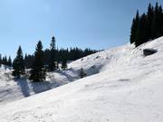 Powder slopes above Aleko