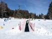 Family ski resorts Ausseerland – Families and children Loser – Altaussee