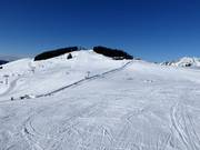 Easy slopes in Scheffau