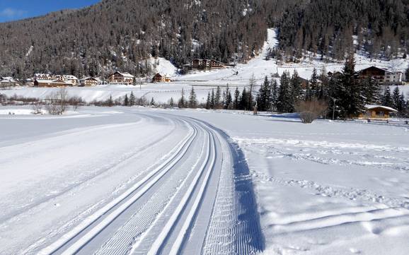 Cross-country skiing Ortles Region – Cross-country skiing Sulden am Ortler (Solda all'Ortles)
