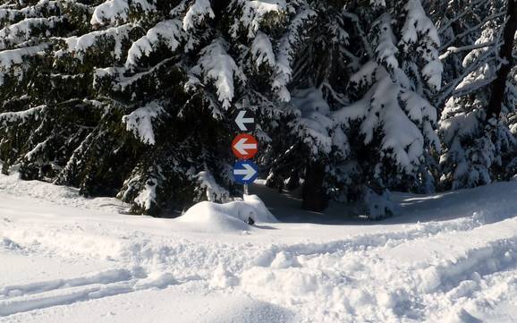 Silberregion Karwendel: orientation within ski resorts – Orientation Kellerjoch – Schwaz