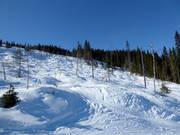Mogul slope in the ski resort of Trysil