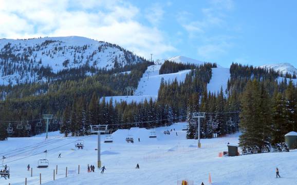 Best ski resort in the Jasper National Park – Test report Marmot Basin – Jasper