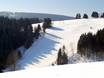 Ski resorts for advanced skiers and freeriding Western Germany – Advanced skiers, freeriders Postwiesen Skidorf – Neuastenberg