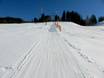 Ski lifts Southern Black Forest – Ski lifts Todtnauberg