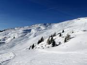 View of the wide slopes in the ski resort of Rosskopf